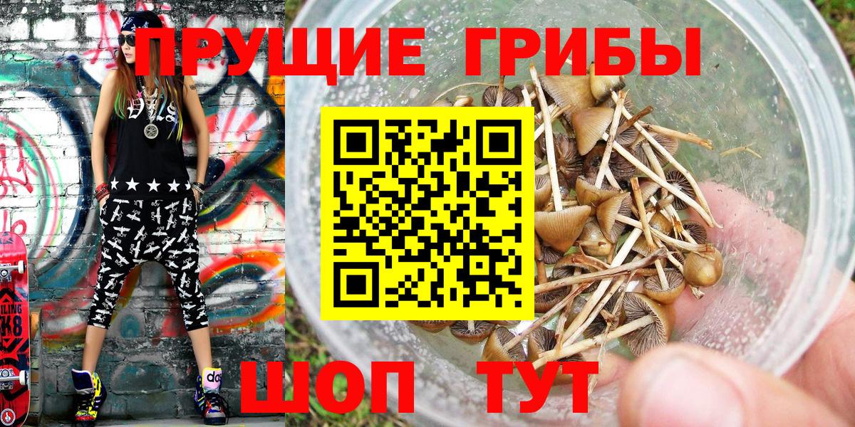 Псилоцибиновые грибы MAGIC MUSHROOMS  Вход с VPN  Златоуст 